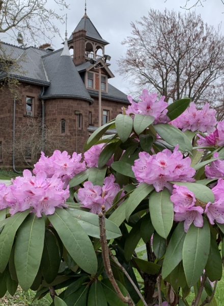 marsh botanical gardesn