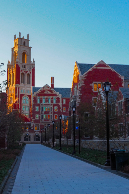 yale museums and gardens