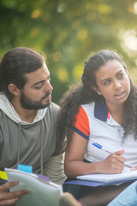 the knot new haven ct