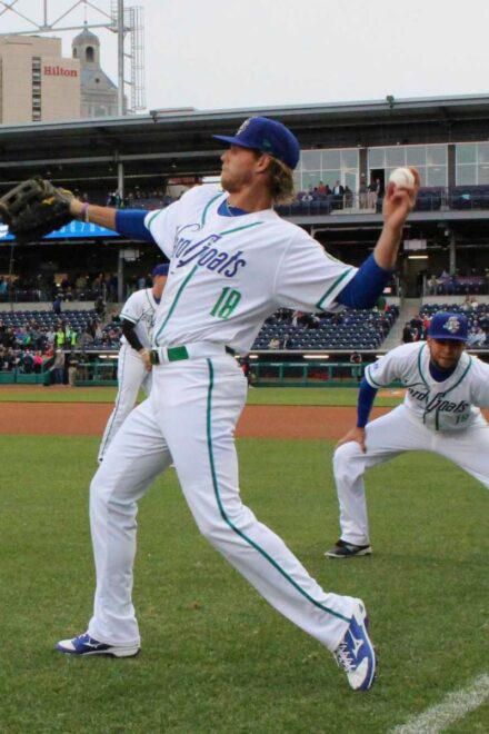 hartford yard goats new haven sports