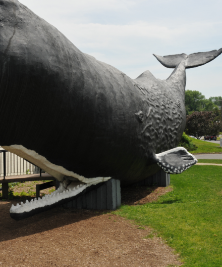 childrens museum of New Haven CT