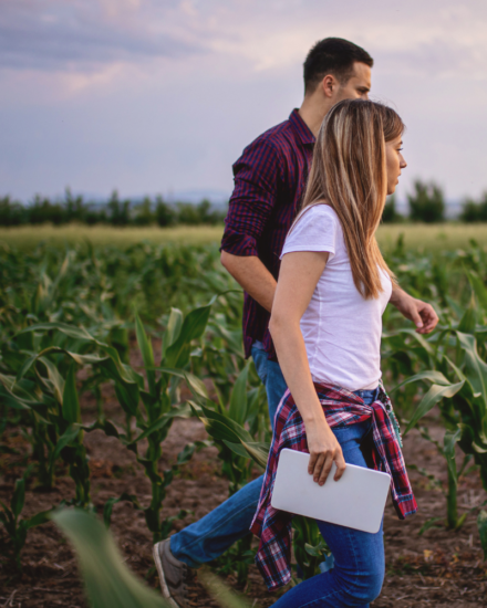 visiting your student new haven ct