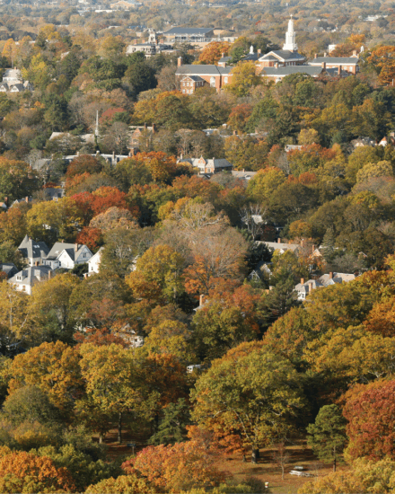 fall in new haven ct